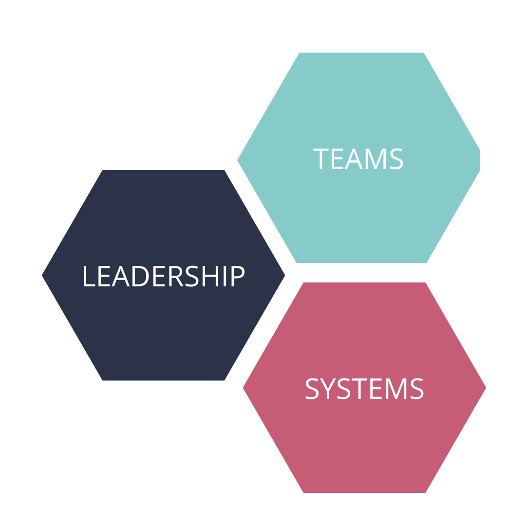 KATRINA JOHNSON - NEWSKY CONSULTING (1) - Three hexagons with the words Teams, Leaderships and Systems